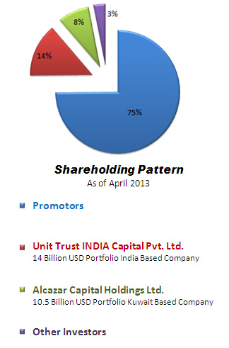 Shareholding Pattern